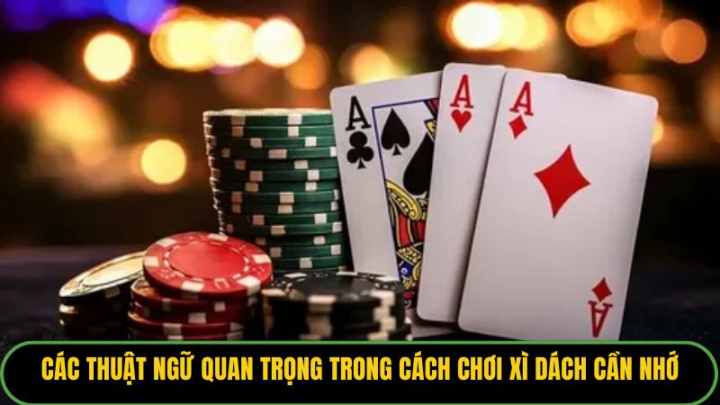 Các thuật ngữ quan trọng trong cách chơi xì dách cần nhớ.