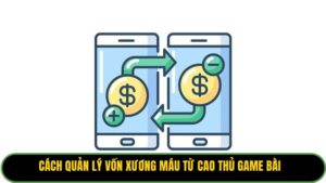 cach-quan-ly-von