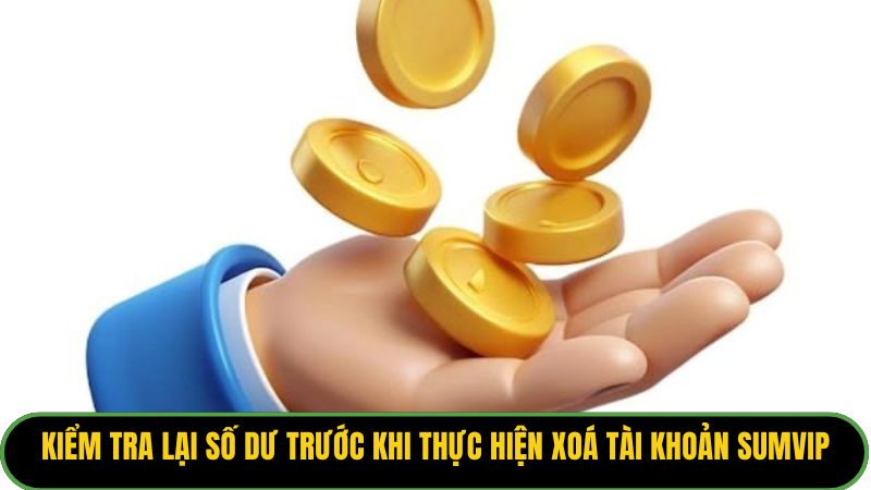 Kiểm tra lại số dư trước khi thực hiện xoá tài khoản Sumvip