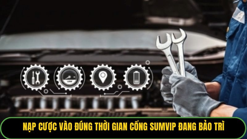 Nạp cược vào đúng thời gian cổng Sumvip đang bảo trì
