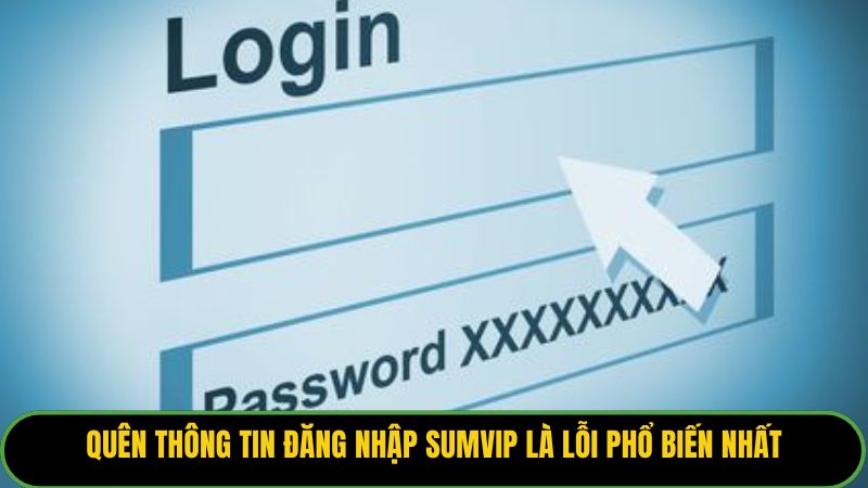 Quên thông tin đăng nhập Sumvip là lỗi phổ biến nhất